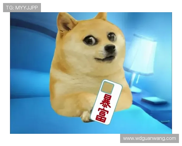 问鼎电子娱乐下载app用户评价真实反馈助你选择最适合你的电子娱乐神器