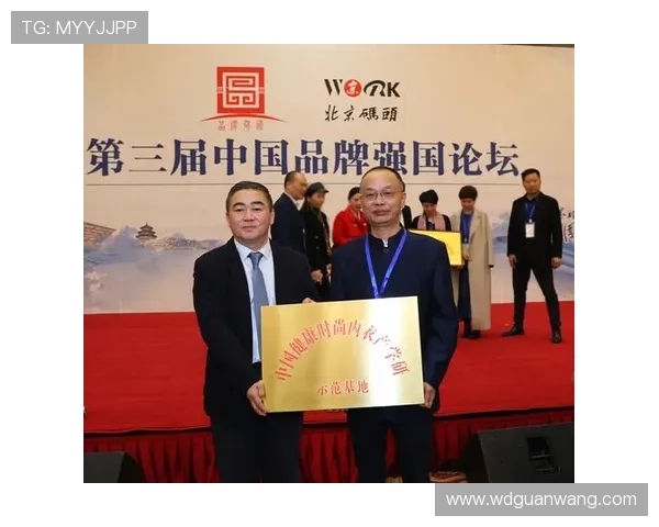 问鼎国际：打造具有国际竞争力的品牌战略与实践路径