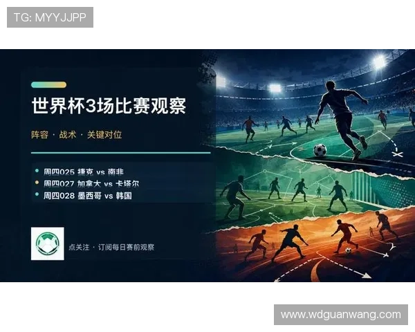 捷克南非在世界杯中的胜率比较：影响比赛结果的关键因素深度分析